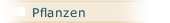 Pflanzen